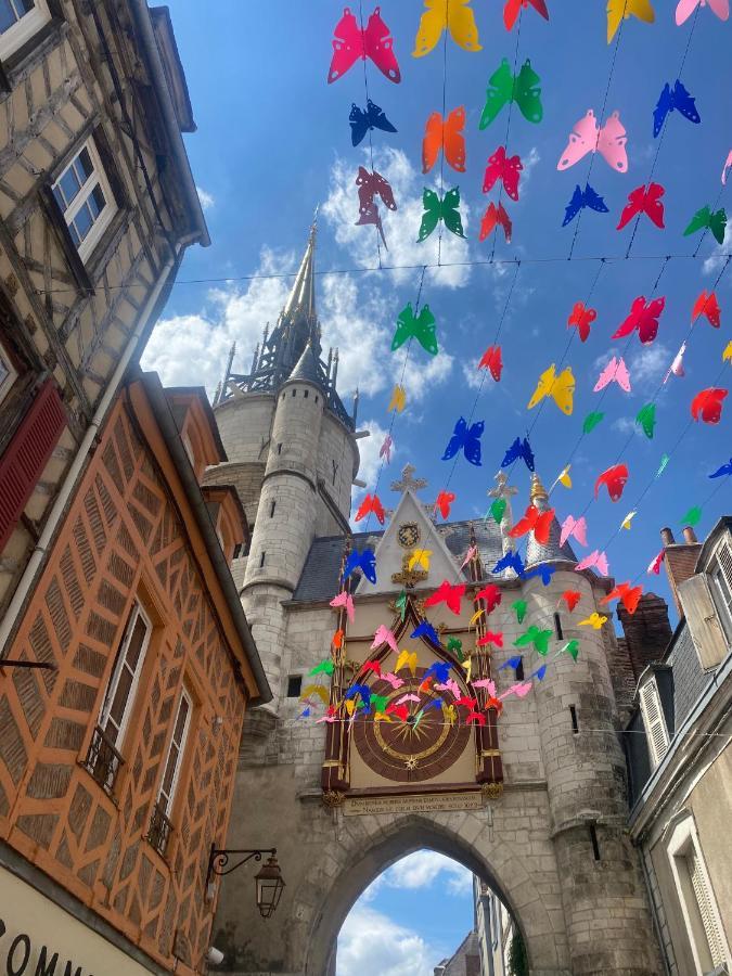 L'Atelier Des Songes - Deux Pieces - Centre Ville Auxerre Esterno foto